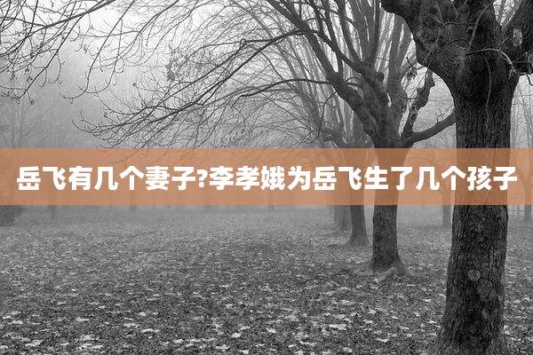 岳飞有几个妻子?李孝娥为岳飞生了几个孩子
