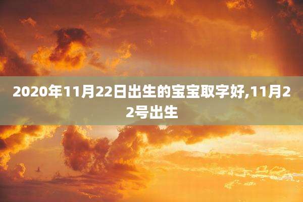 2020年11月22日出生的宝宝取字好,11月22号出生