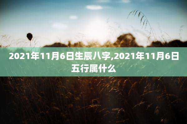 2021年11月6日生辰八字,2021年11月6日五行属什么