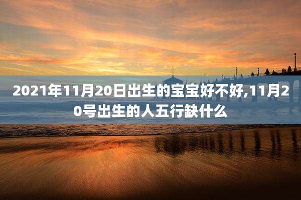 2021年11月20日出生的宝宝好不好,11月20号出生的人五行缺什么