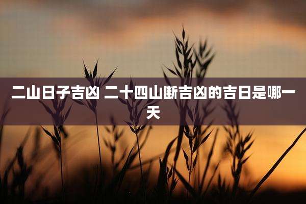 二山日子吉凶 二十四山断吉凶的吉日是哪一天