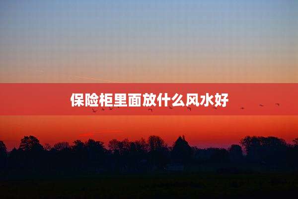 保险柜里面放什么风水好