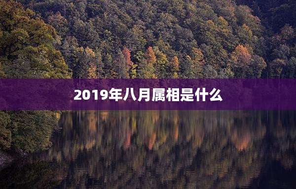 2019年八月属相是什么