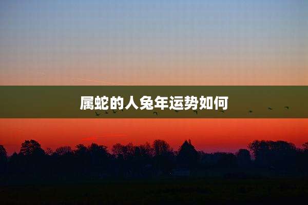 属蛇的人兔年运势如何
