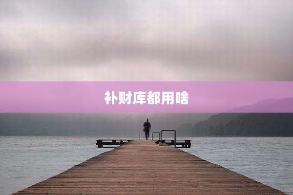 补财库都用啥