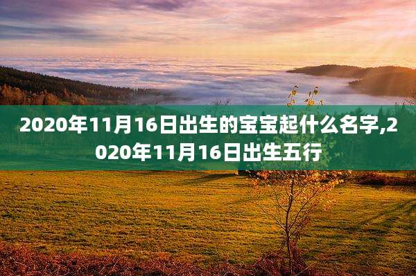 2020年11月16日出生的宝宝起什么名字,2020年11月16日出生五行