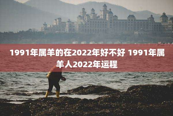 1991年属羊的在2022年好不好 1991年属羊人2022年运程