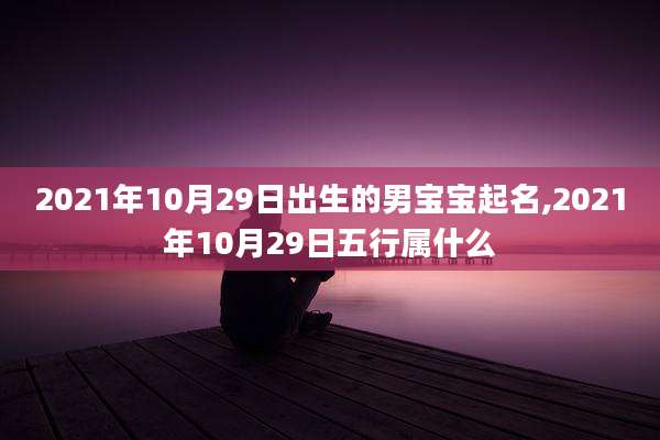2021年10月29日出生的男宝宝起名,2021年10月29日五行属什么
