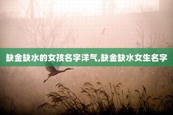 缺金缺水的女孩名字洋气,缺金缺水女生名字