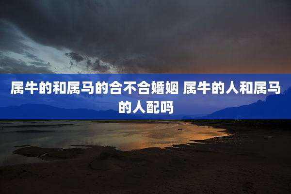 属牛的和属马的合不合婚姻 属牛的人和属马的人配吗