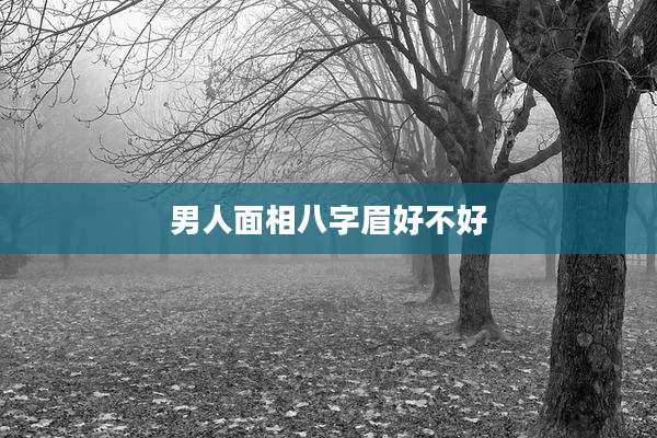 男人面相八字眉好不好