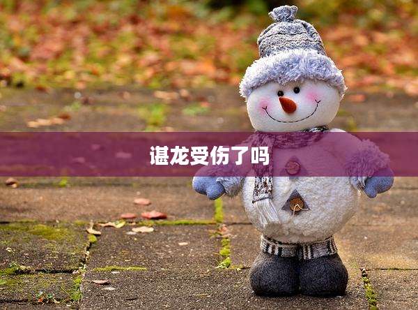 谌龙受伤了吗