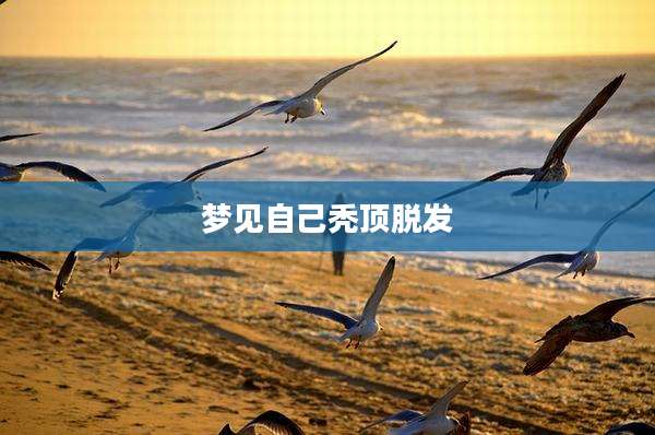 梦见自己秃顶脱发