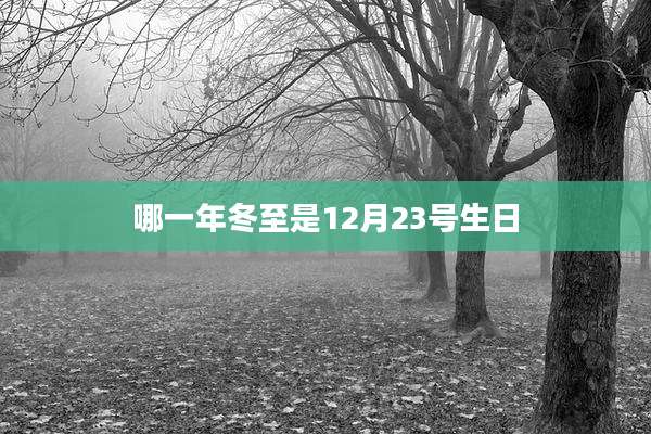 哪一年冬至是12月23号生日