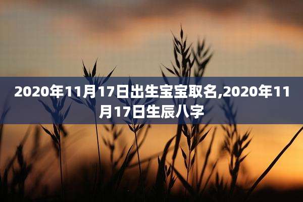 2020年11月17日出生宝宝取名,2020年11月17日生辰八字