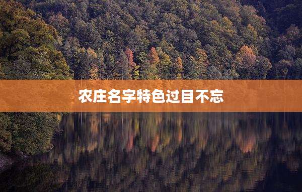 农庄名字特色过目不忘