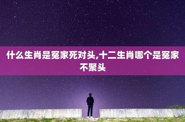 什么生肖是冤家死对头,十二生肖哪个是冤家不聚头