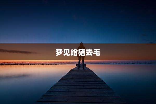 梦见给猪去毛
