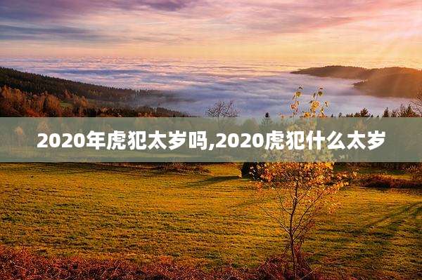 2020年虎犯太岁吗,2020虎犯什么太岁