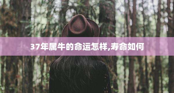 37年属牛的命运怎样,寿命如何