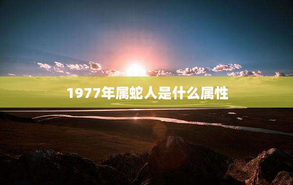 1977年属蛇人是什么属性