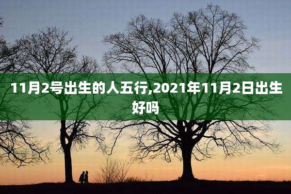 11月2号出生的人五行,2021年11月2日出生好吗
