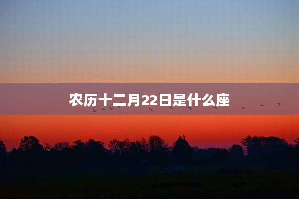 农历十二月22日是什么座