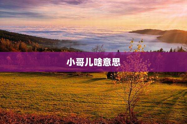 小哥儿啥意思