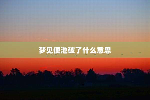 梦见便池破了什么意思