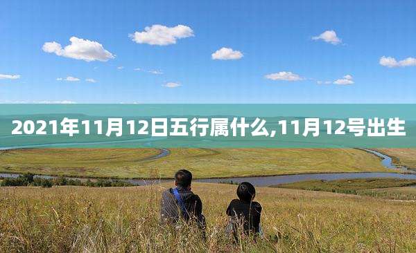 2021年11月12日五行属什么,11月12号出生