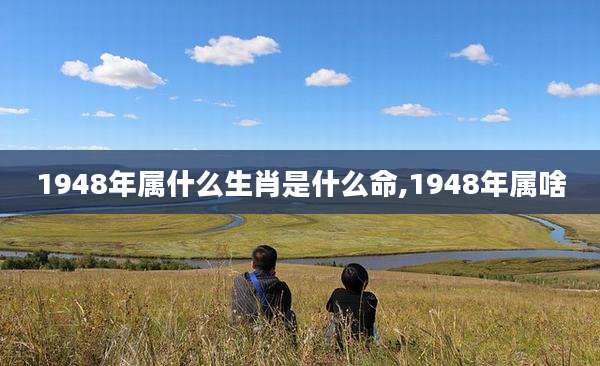 1948年属什么生肖是什么命,1948年属啥