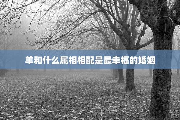 羊和什么属相相配是最幸福的婚姻