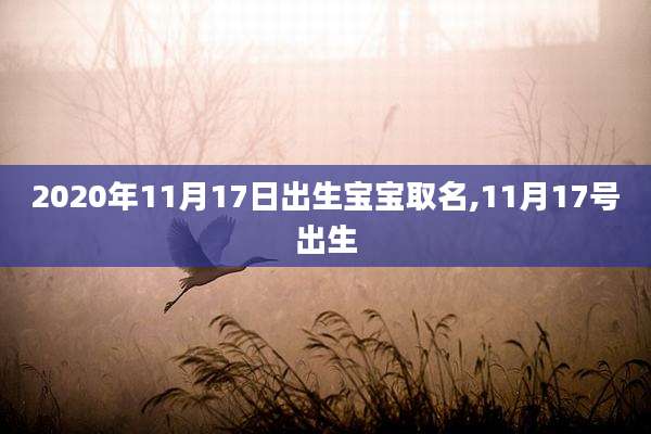 2020年11月17日出生宝宝取名,11月17号出生