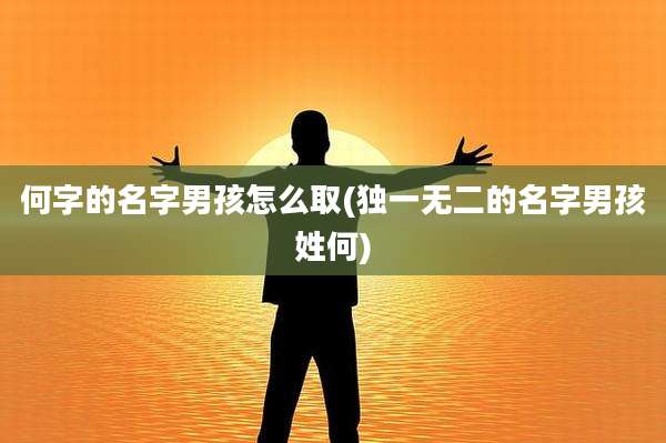 何字的名字男孩怎么取(独一无二的名字男孩姓何)