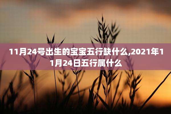 11月24号出生的宝宝五行缺什么,2021年11月24日五行属什么