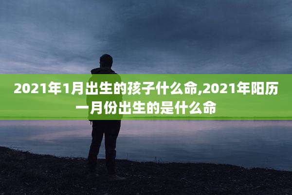 2021年1月出生的孩子什么命,2021年阳历一月份出生的是什么命