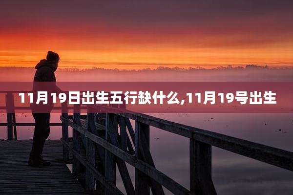 11月19日出生五行缺什么,11月19号出生