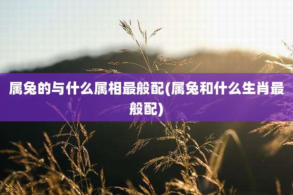 属兔的与什么属相最般配(属兔和什么生肖最般配)