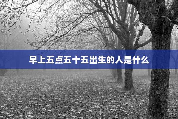 早上五点五十五出生的人是什么