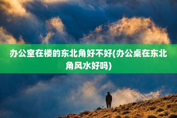 办公室在楼的东北角好不好(办公桌在东北角风水好吗)