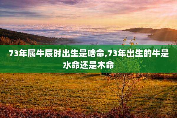 73年属牛辰时出生是啥命,73年出生的牛是水命还是木命