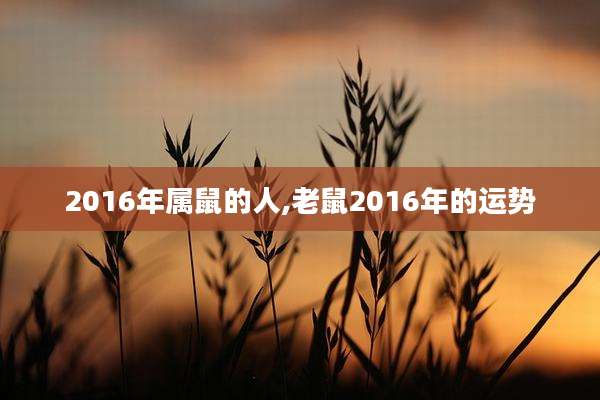 2016年属鼠的人,老鼠2016年的运势
