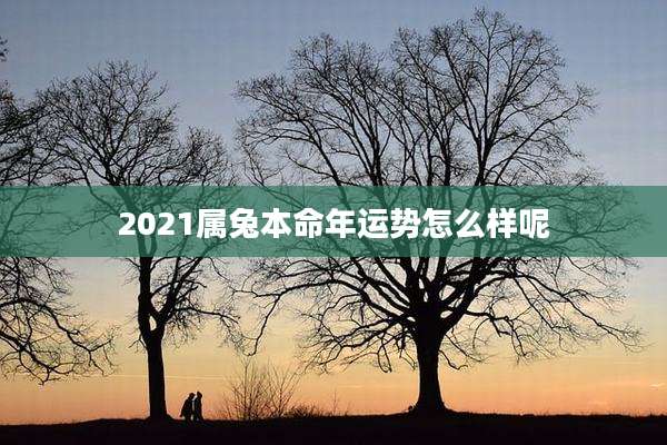 2021属兔本命年运势怎么样呢