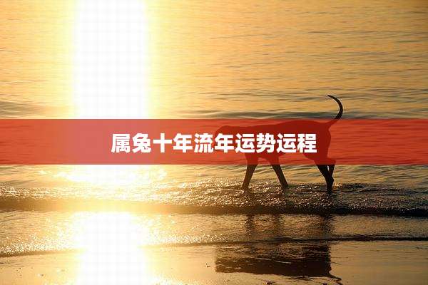 属兔十年流年运势运程