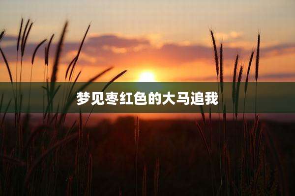 梦见枣红色的大马追我