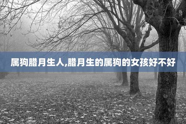 属狗腊月生人,腊月生的属狗的女孩好不好