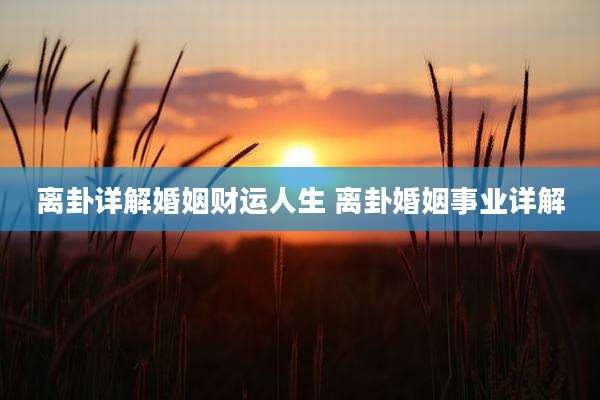 离卦详解婚姻财运人生 离卦婚姻事业详解