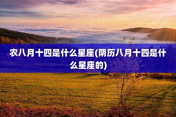 农八月十四是什么星座(阴历八月十四是什么星座的)