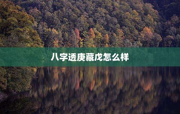 八字透庚藏戊怎么样