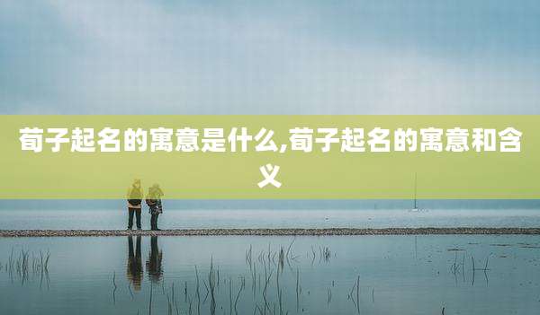 荀子起名的寓意是什么,荀子起名的寓意和含义
